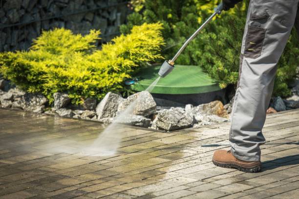 Animal Enclosure Cleaning in Catonsville, MD